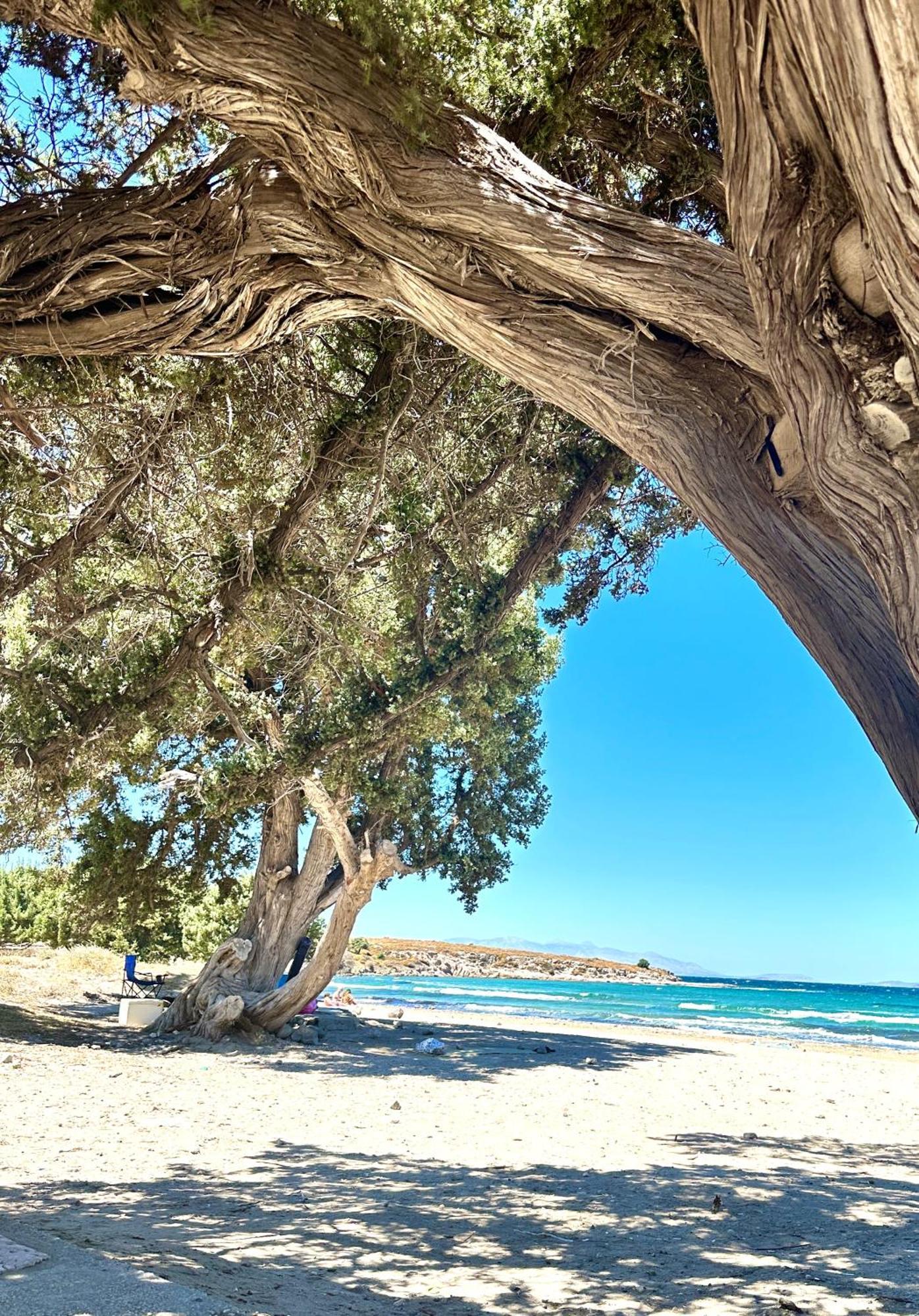 Marissa Boutique Hotel Çeşme エクステリア 写真