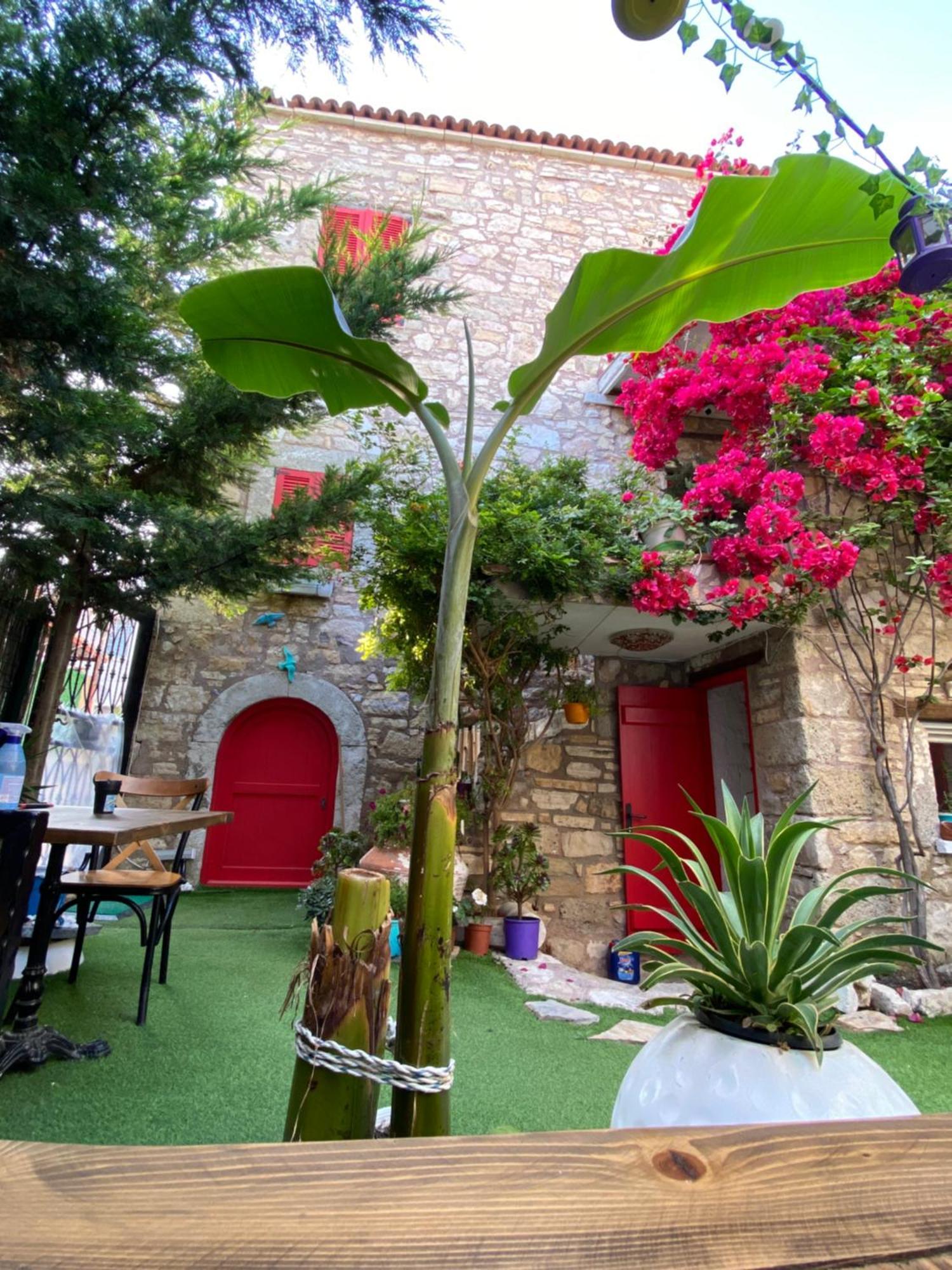 Marissa Boutique Hotel Çeşme エクステリア 写真